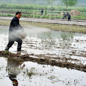 農(nóng)民種什么?昔日圍著補貼轉(zhuǎn) 今天訂單說了算